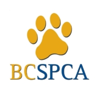 BCSPCA.jpg
