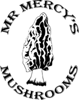 Mr-Mercys-Mushrooms.jpg