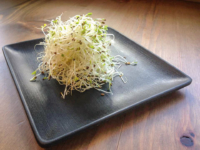 sprouts-on-a-plate.jpg