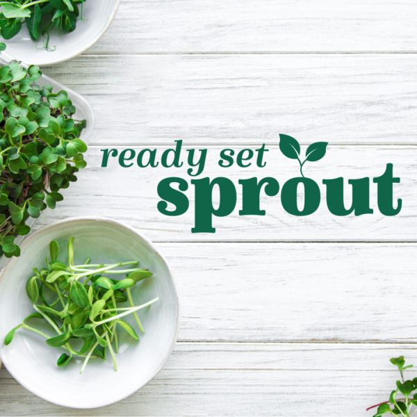 How To: Grow Sprouts at Home