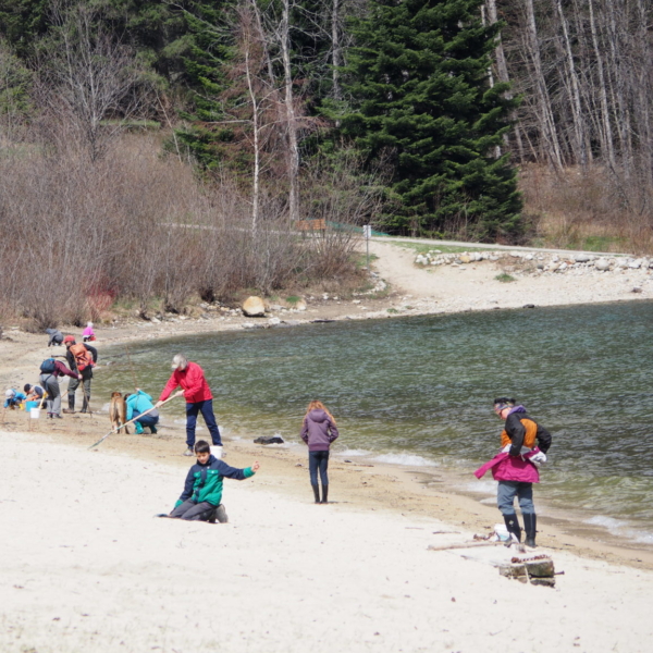 organization of the month: Friends of Kootenay Lake