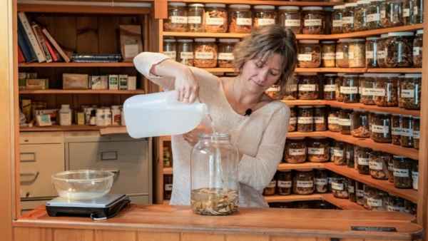 Little Dragon Medicinals. Kendra Starr making tinctures in her clinic.