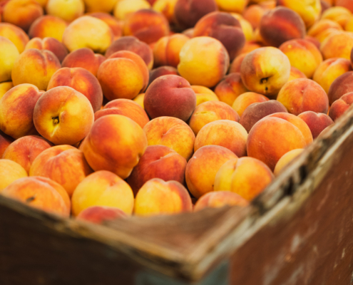 Peach bin from Cawston, Back Achers