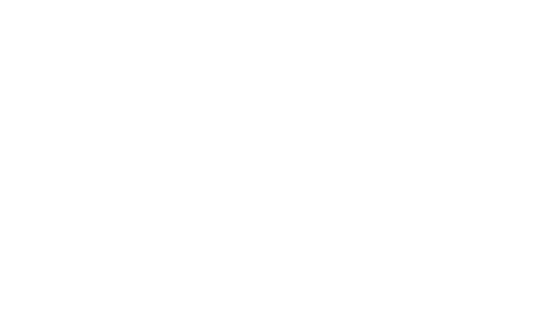 More Than a Grocery Store logo