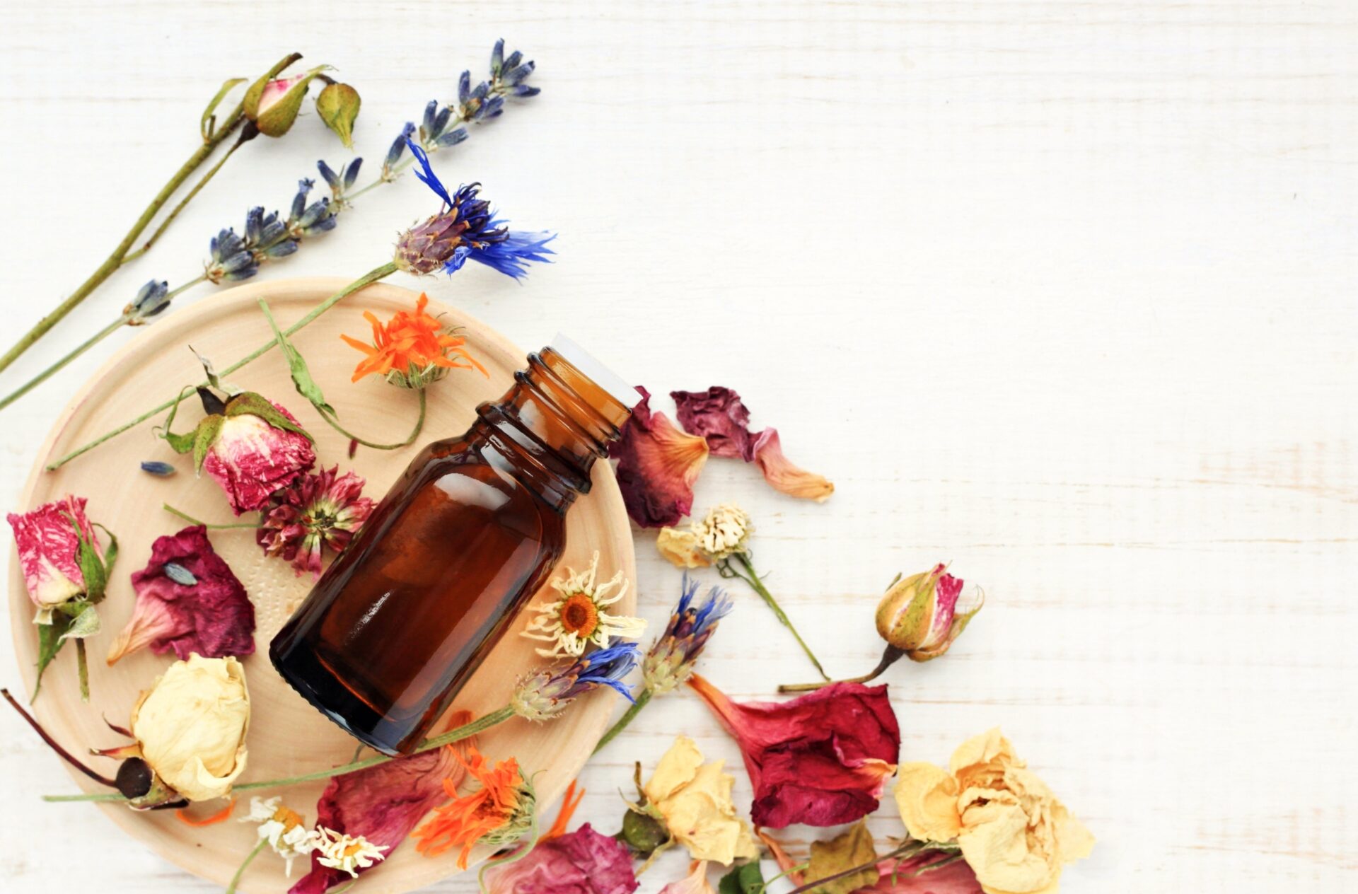 earth month in wellness