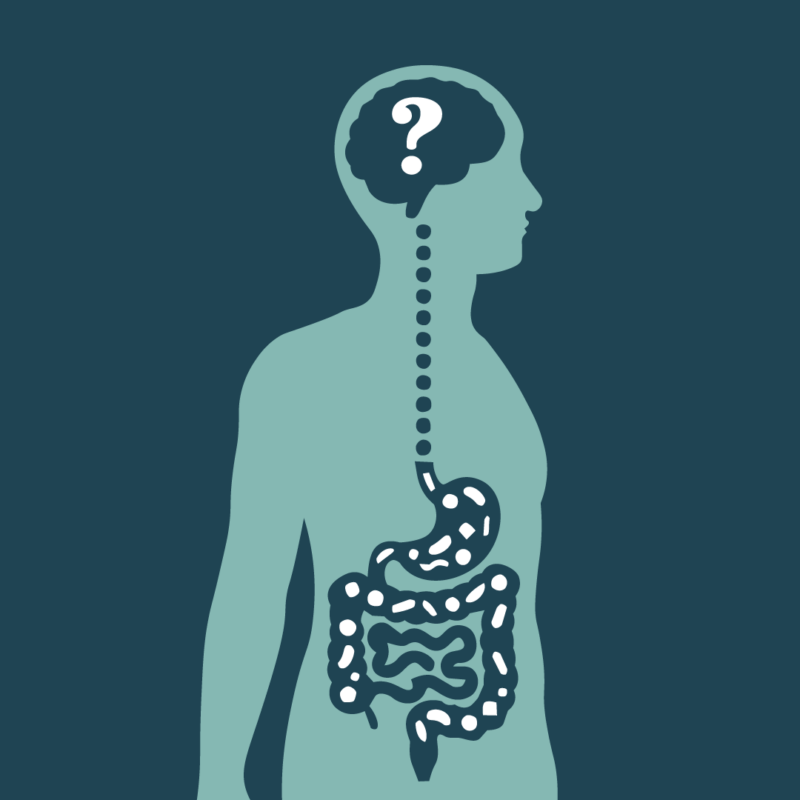 Gut health illustration